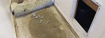 Professional Plumbers Slab leak in Tacoma WA